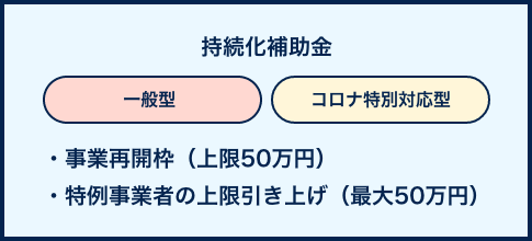 金 補助 化 事業 持続 枠 再開